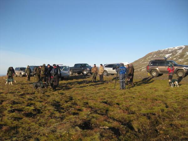 Mynd númer 1162