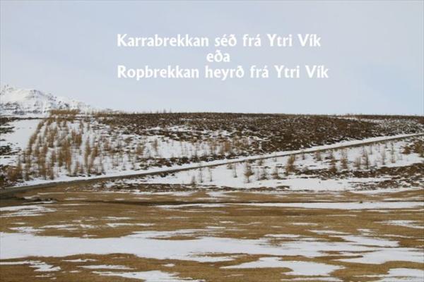 Mynd númer 1381