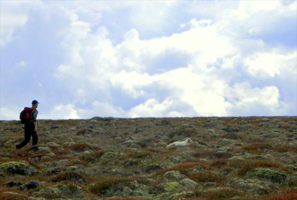 Mynd númer 1641