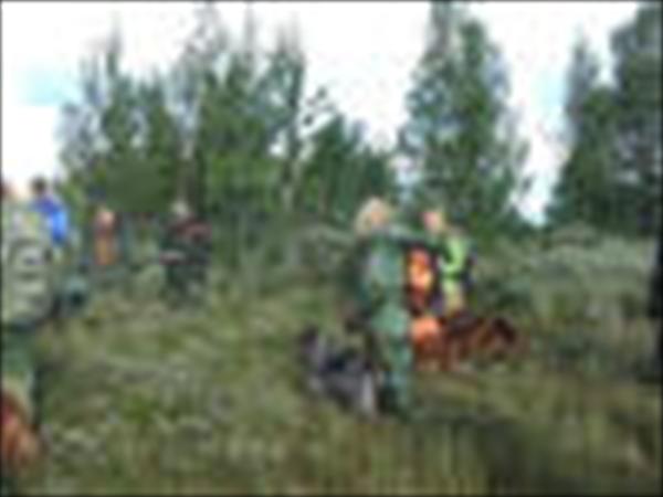 Mynd númer 527
