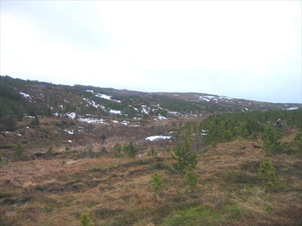 Mynd númer 677