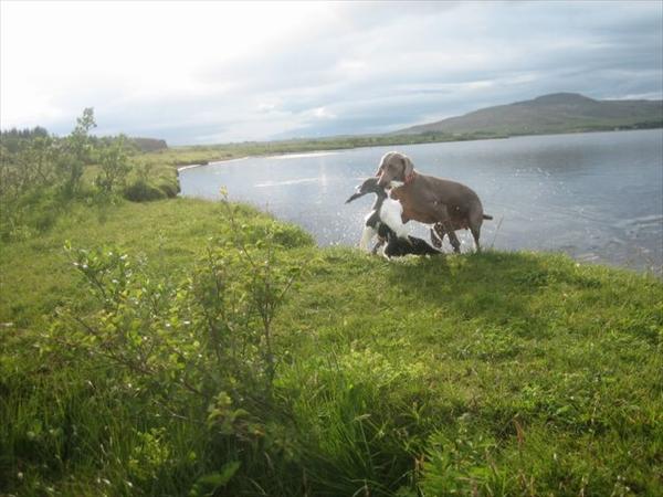 Mynd númer 784