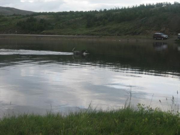 Mynd númer 786