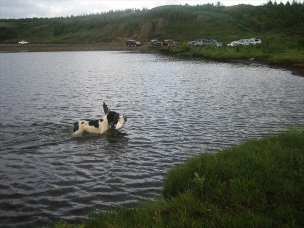 Mynd númer 804