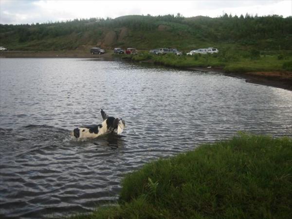 Mynd númer 805