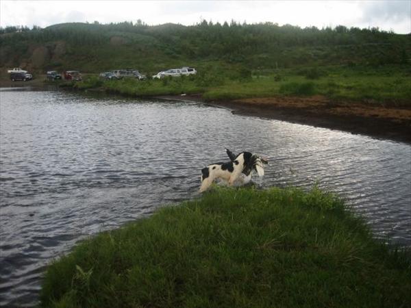 Mynd númer 806