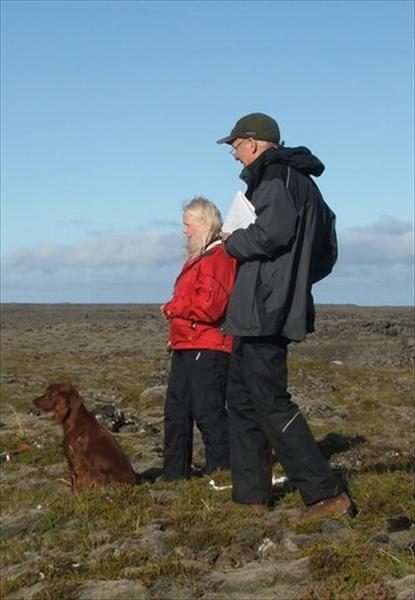 Mynd númer 865