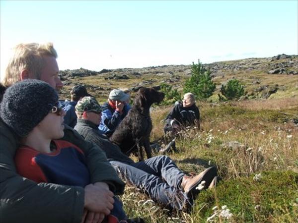 Mynd númer 873
